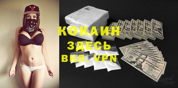 МДПВ Нея