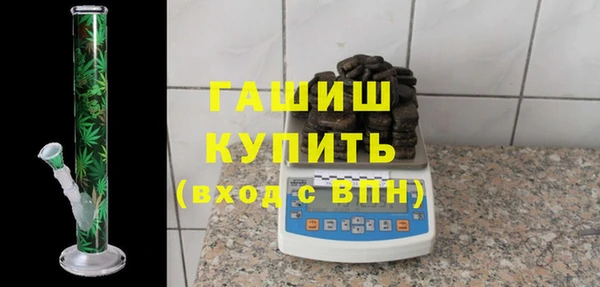 шишки Ельня