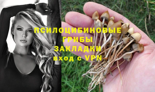 МДПВ Нея
