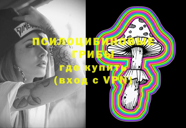 МДПВ Нея