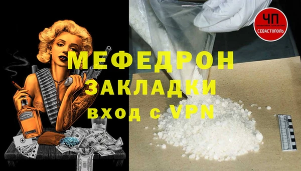 шишки Ельня