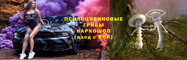 шишки Ельня