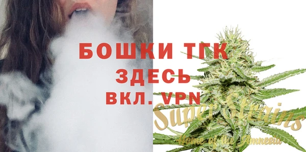 МДПВ Нея