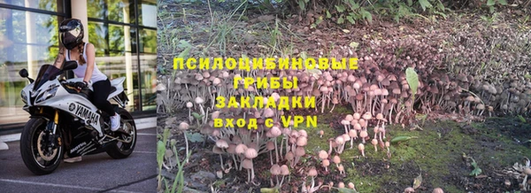 марки nbome Нефтегорск