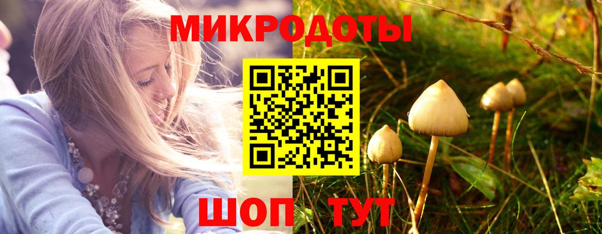 Галлюциногенные грибы GOLDEN TEACHER Нововоронеж