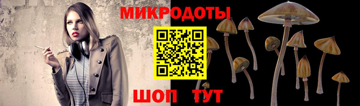 Нововоронеж  Галлюциногенные грибы Psilocybe  Вход с VPN 
